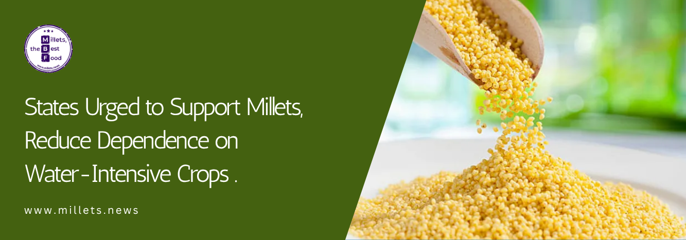 States Urged to Support Millets, Reduce Dependence on Water-Intensive Crops 