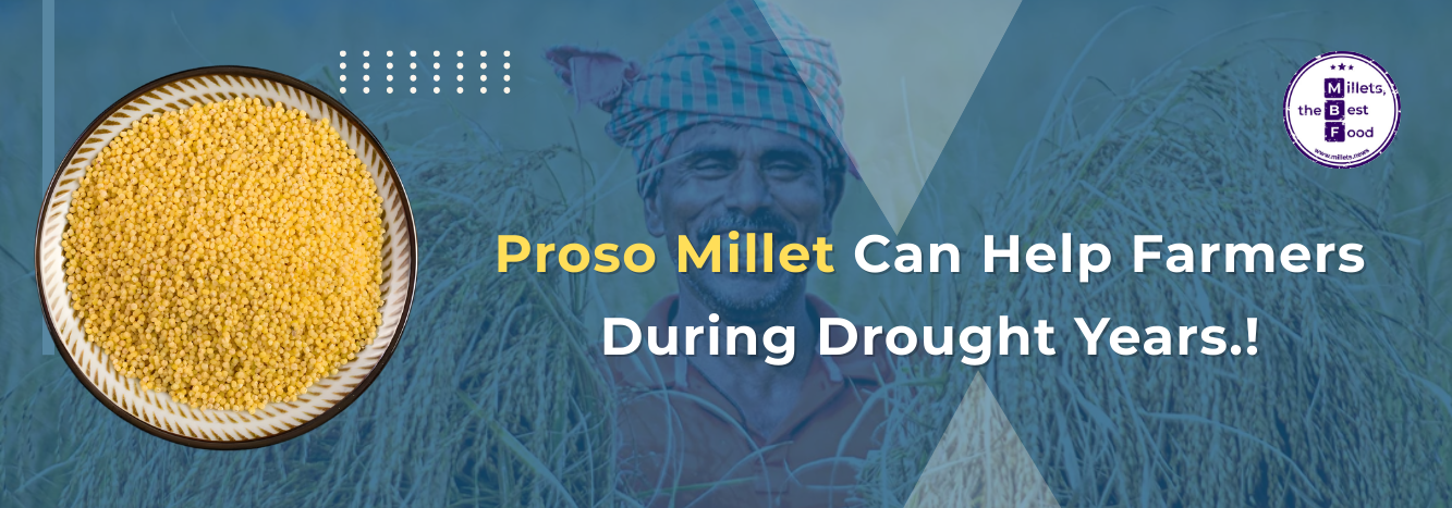 Proso Millet Can Help Farmers During Drought Years