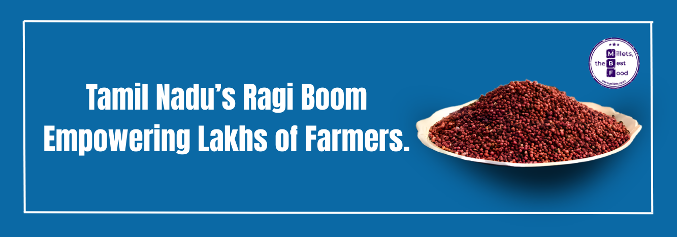 Ragi productivity peaks in Tamil Nadu under millet mission success