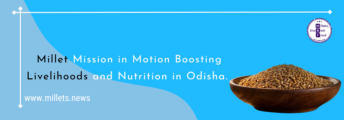 Millet Mission in Motion: Boosting Livelihoods and Nutrition in Odisha 