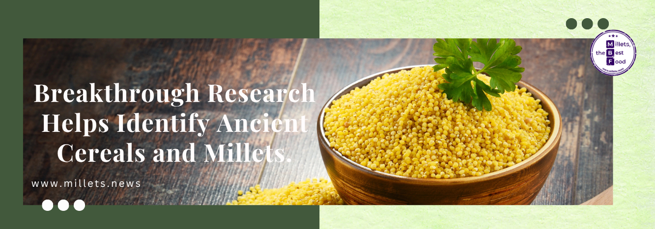 Breakthrough Research Helps Identify Ancient Cereals and Millets