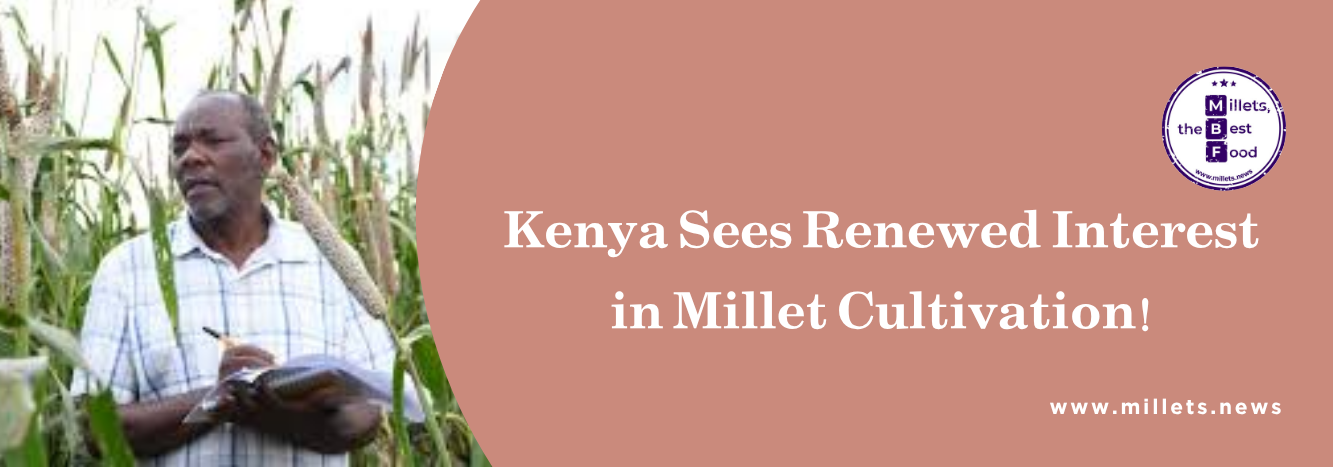  Kenya Sees Renewed Interest in Millet Cultivation
