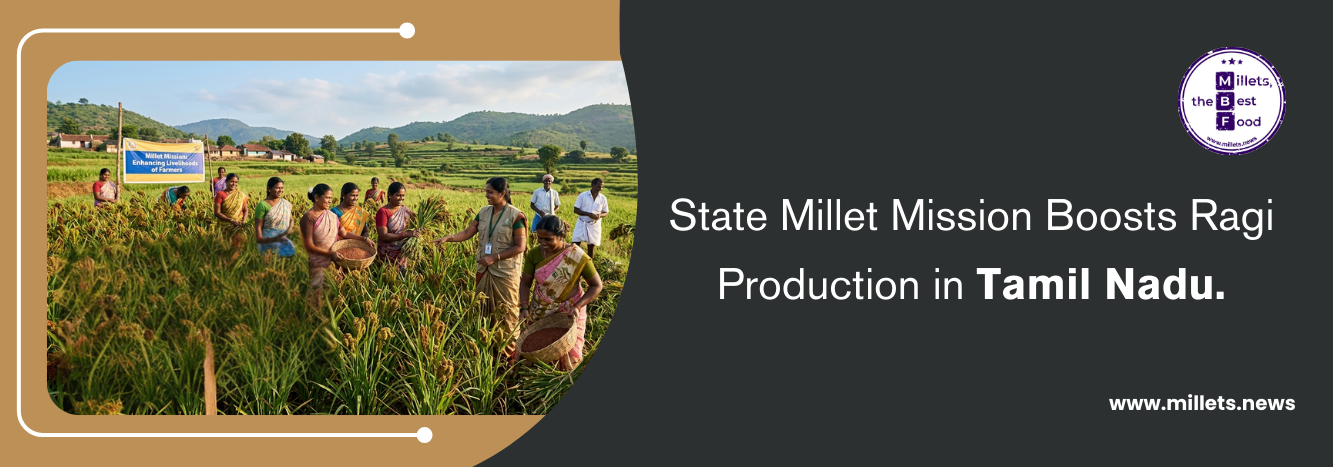 State Millet Mission Boosts Ragi Production in Tamil Nadu