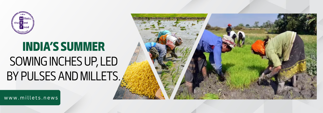 India’s Summer Sowing Inches Up, Led by Pulses and Millets