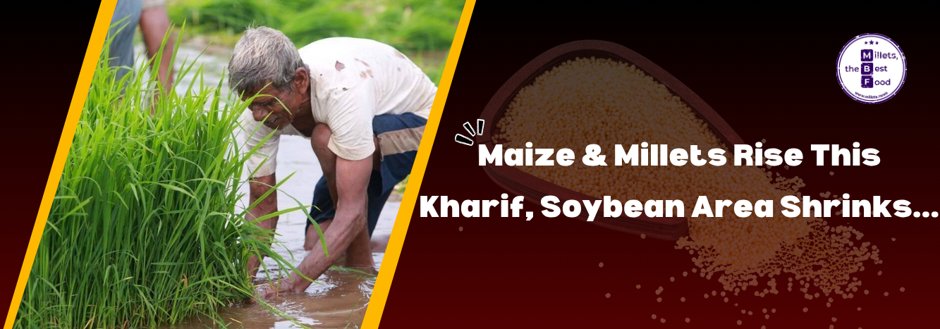 Maize, Millets Set to Rise This Kharif, Soybean Declines
