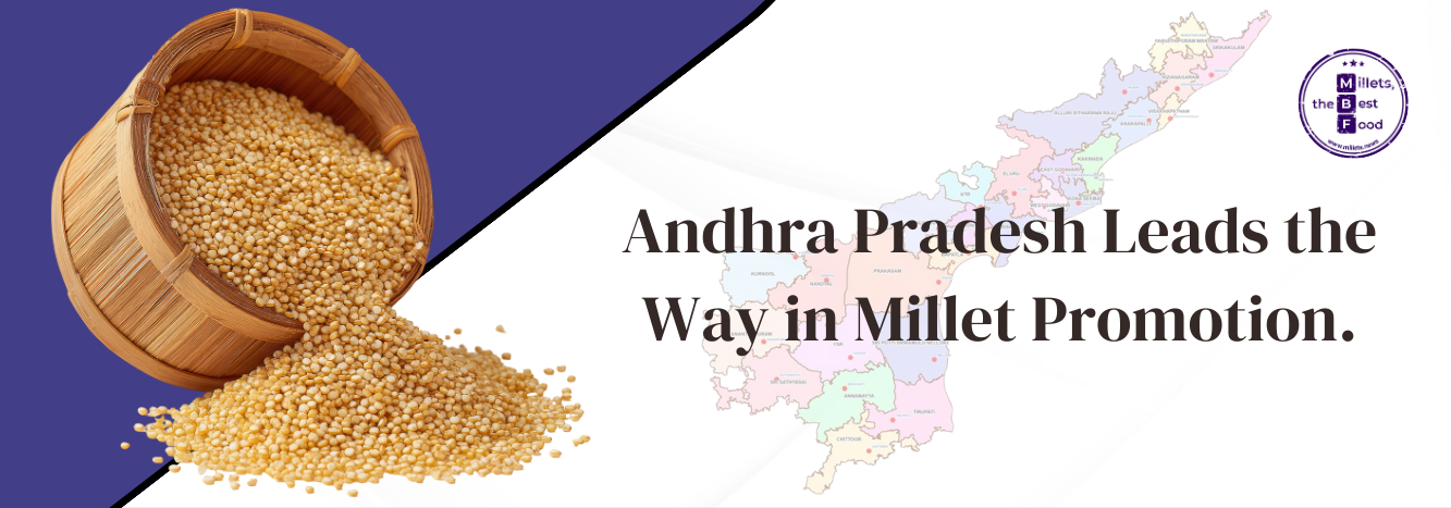 District Training Programme Boosts Millet Promotion for Nutrition and Sustainable Farming