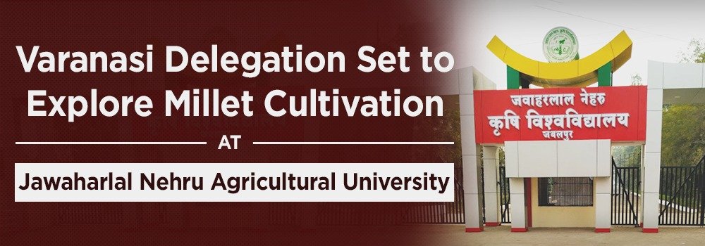 Varanasi Delegation Set to Explore Millet Cultivation at Jawaharlal Nehru Agricultural University