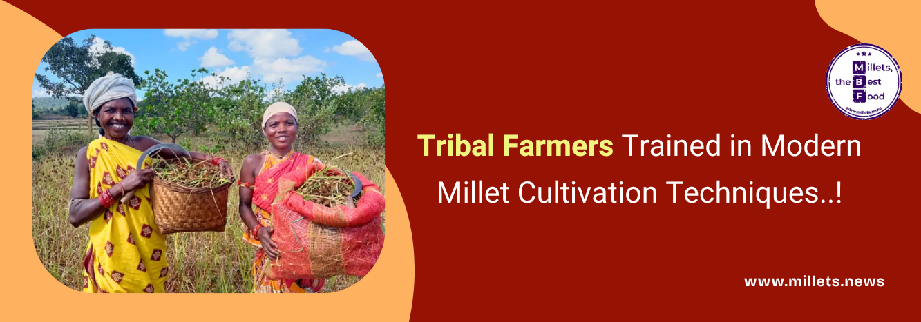 Tribal Farmers Trained in Modern Millet Cultivation Techniques