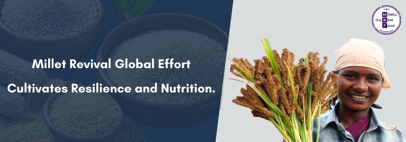 Millet Revival: Global Effort Cultivates Resilience and Nutrition