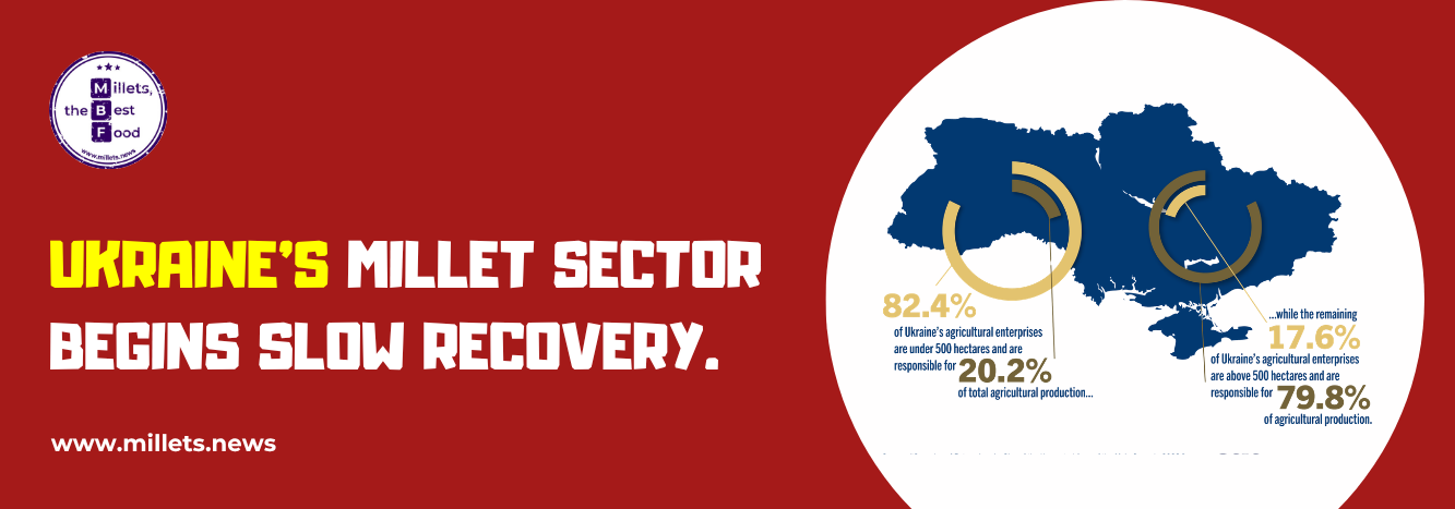 Ukraine’s Millet Sector Begins Slow Recovery