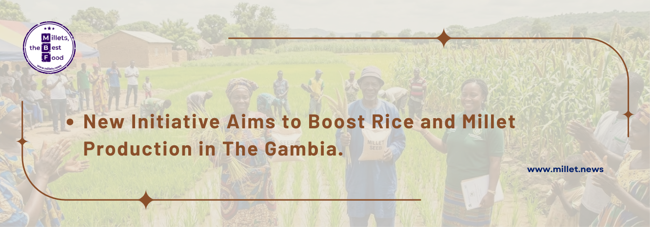 New Initiative Aims to Boost Rice and Millet Production in The Gambia