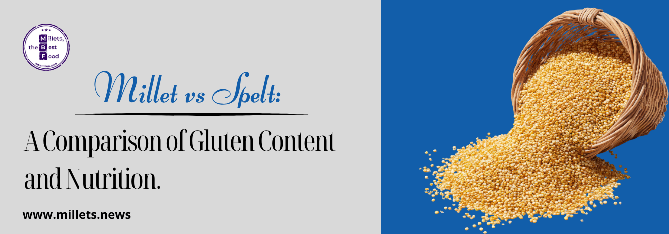  Millet vs Spelt A Comparison of Gluten Content and Nutrition