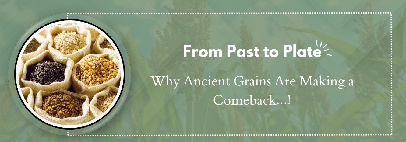 From Past to Plate  Why Ancient Grains Are Making a Comeback