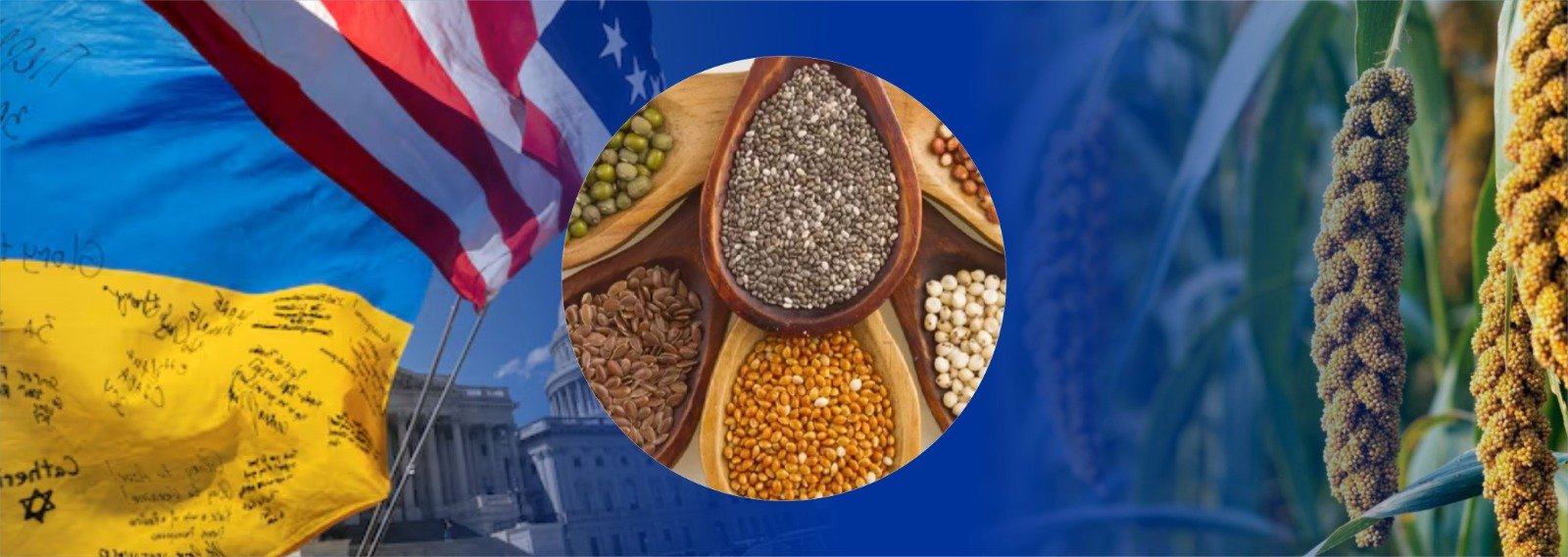 New Export Opportunity: Ukrainian Organic Millet Enters US Market