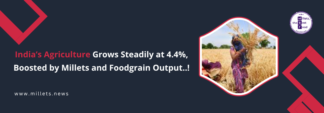 India’s Agriculture Grows Steadily at 4.4%, Boosted by Millets and Foodgrain Output