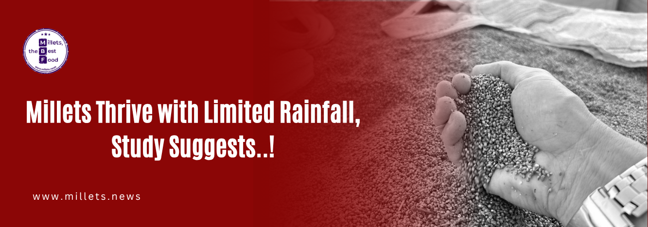 Millets Thrive with Limited Rainfall, Study Suggests