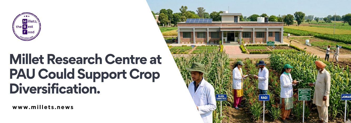 Millet Research Centre at PAU Could Support Crop Diversification