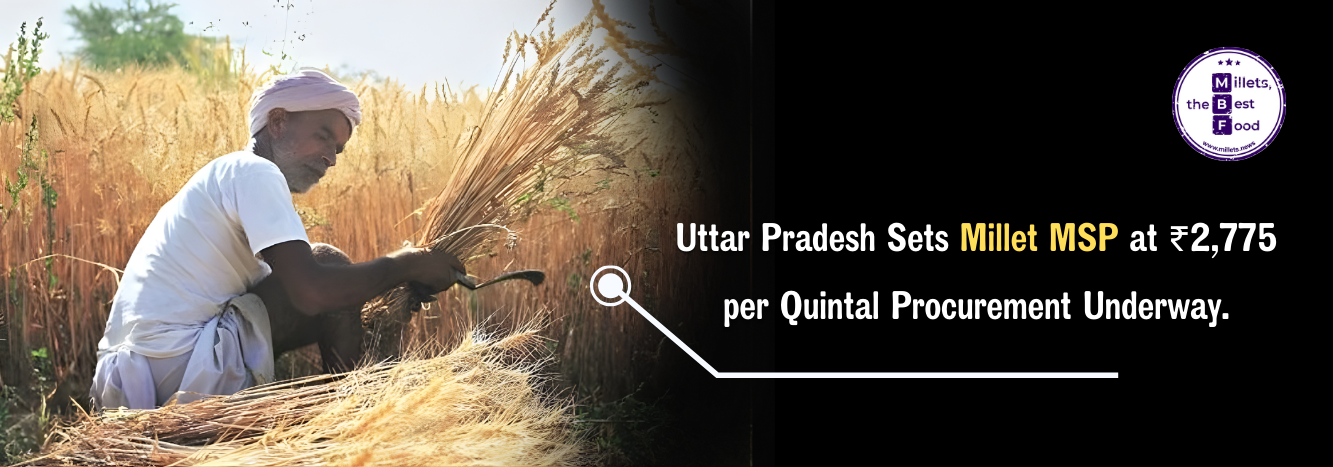 Uttar Pradesh Sets Millet MSP at ₹2,775 per Quintal Procurement Underway