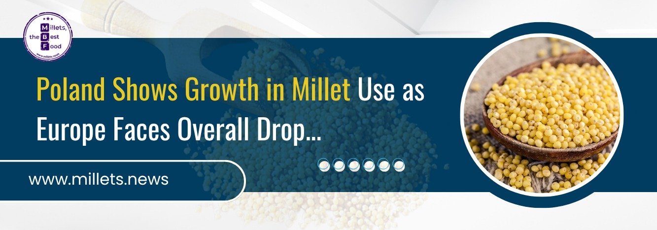 Poland Shows Growth in Millet Use as Europe Faces Overall Drop