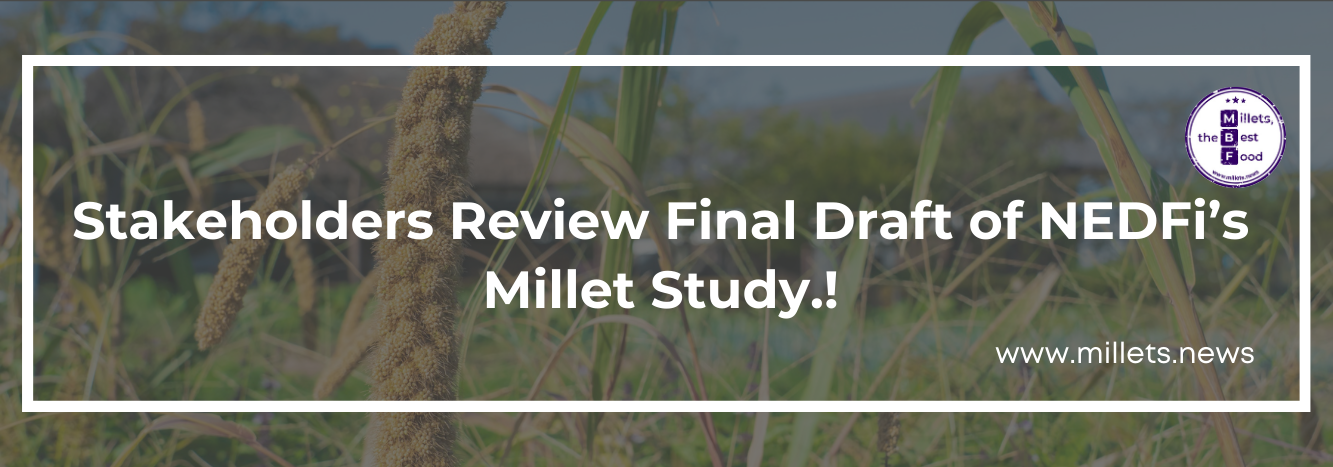 Stakeholders Review Final Draft of NEDFi’s Millet Study