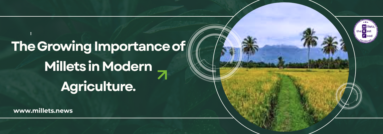 The Growing Importance of Millets in Modern Agriculture