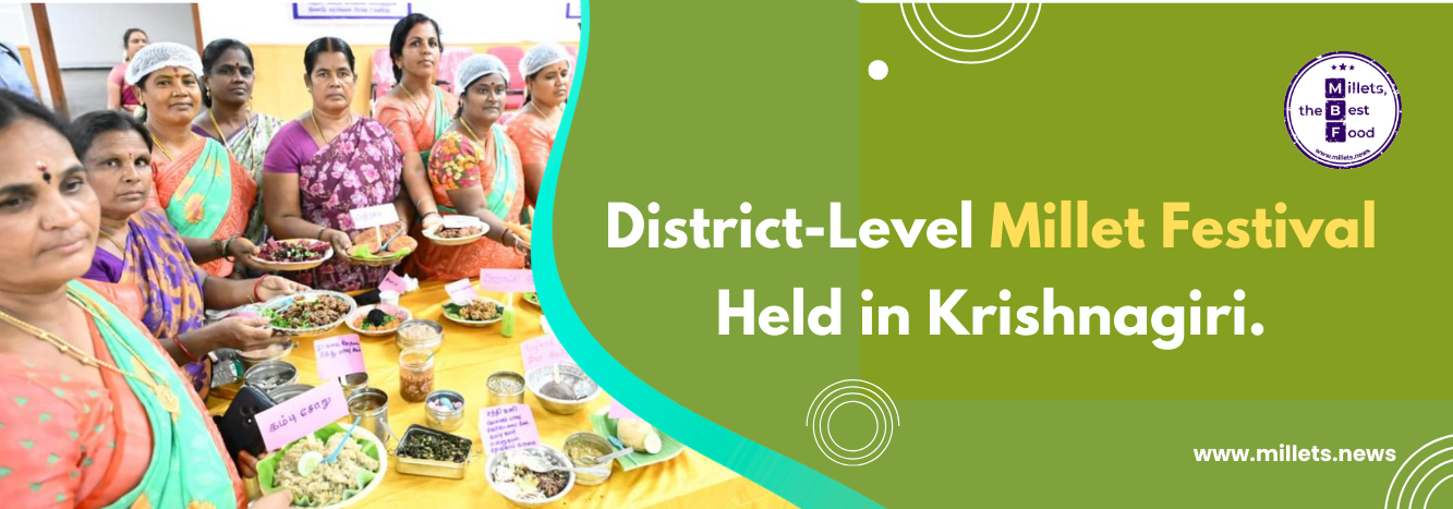 District-Level Millet Festival Held in Krishnagiri