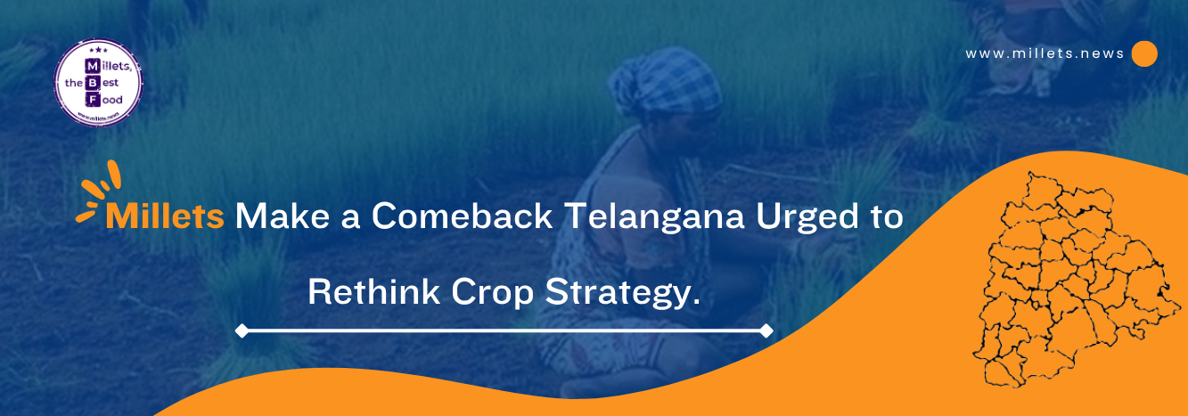 Millets Make a Comeback Telangana Urged to Rethink Crop Strategy